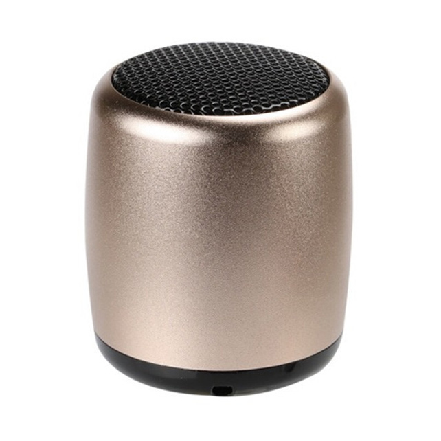 Mini Bluetooth Speaker