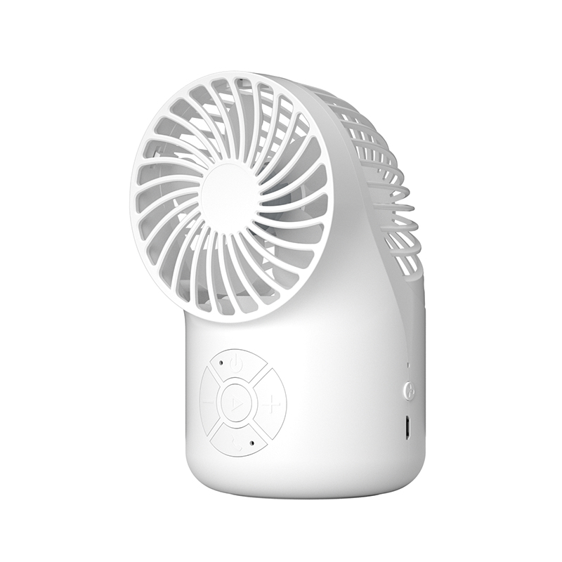 2 In 1 Bluetooth Speaker Fan