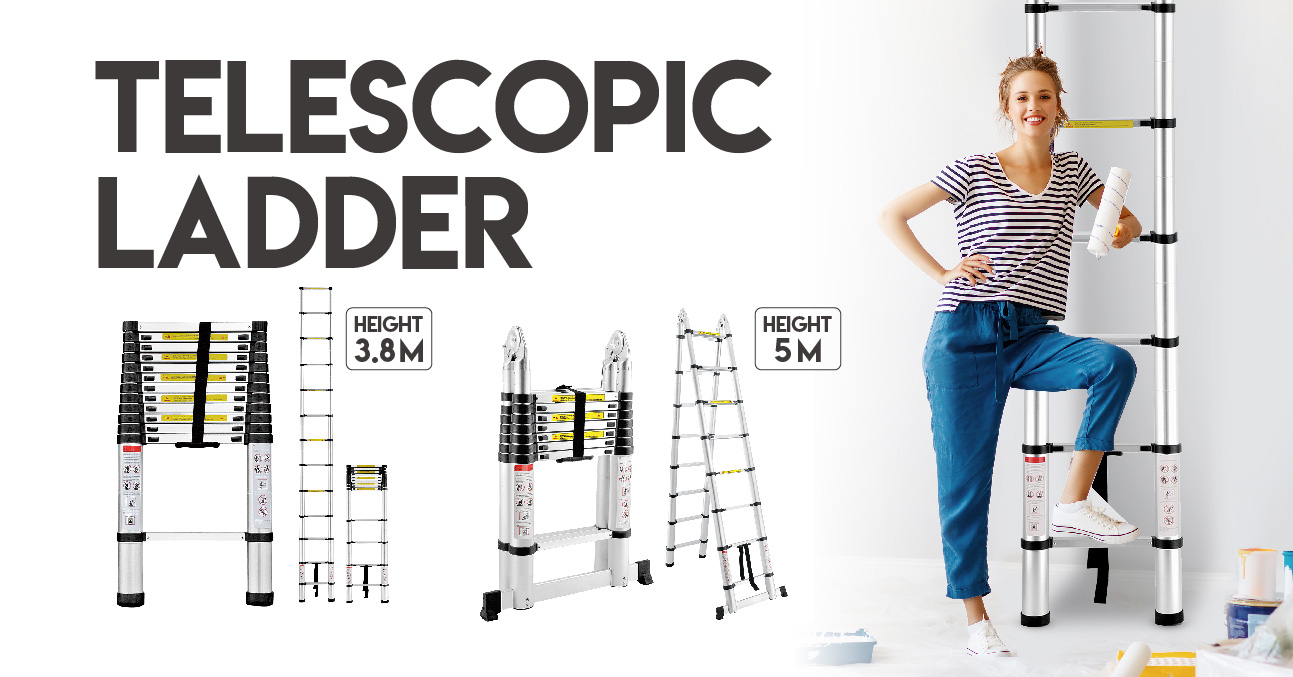 Telescopic Ladder