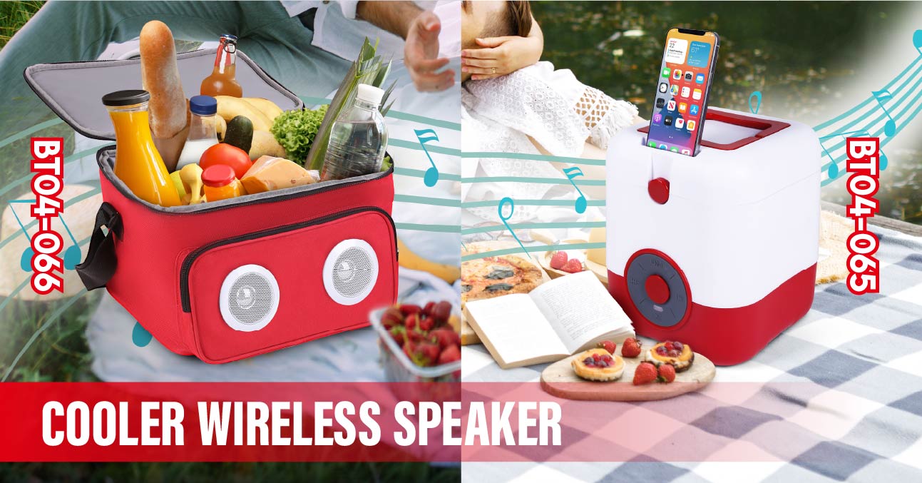 2 in 1 Cooler & Wireless Speaker