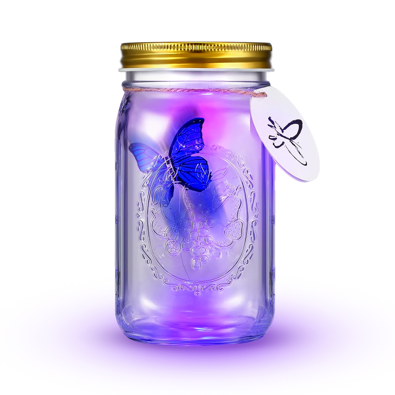 Butterfly Glass Jar Atmosphere Lamp