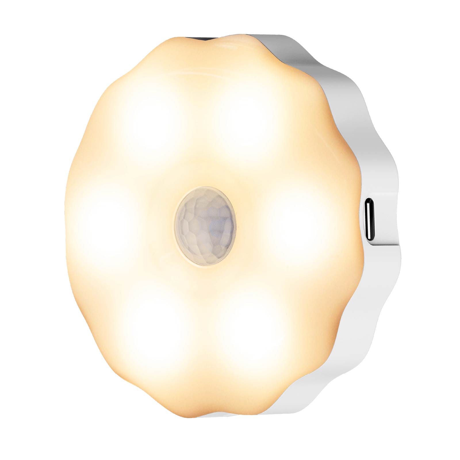Motion Sensor Wall Light 