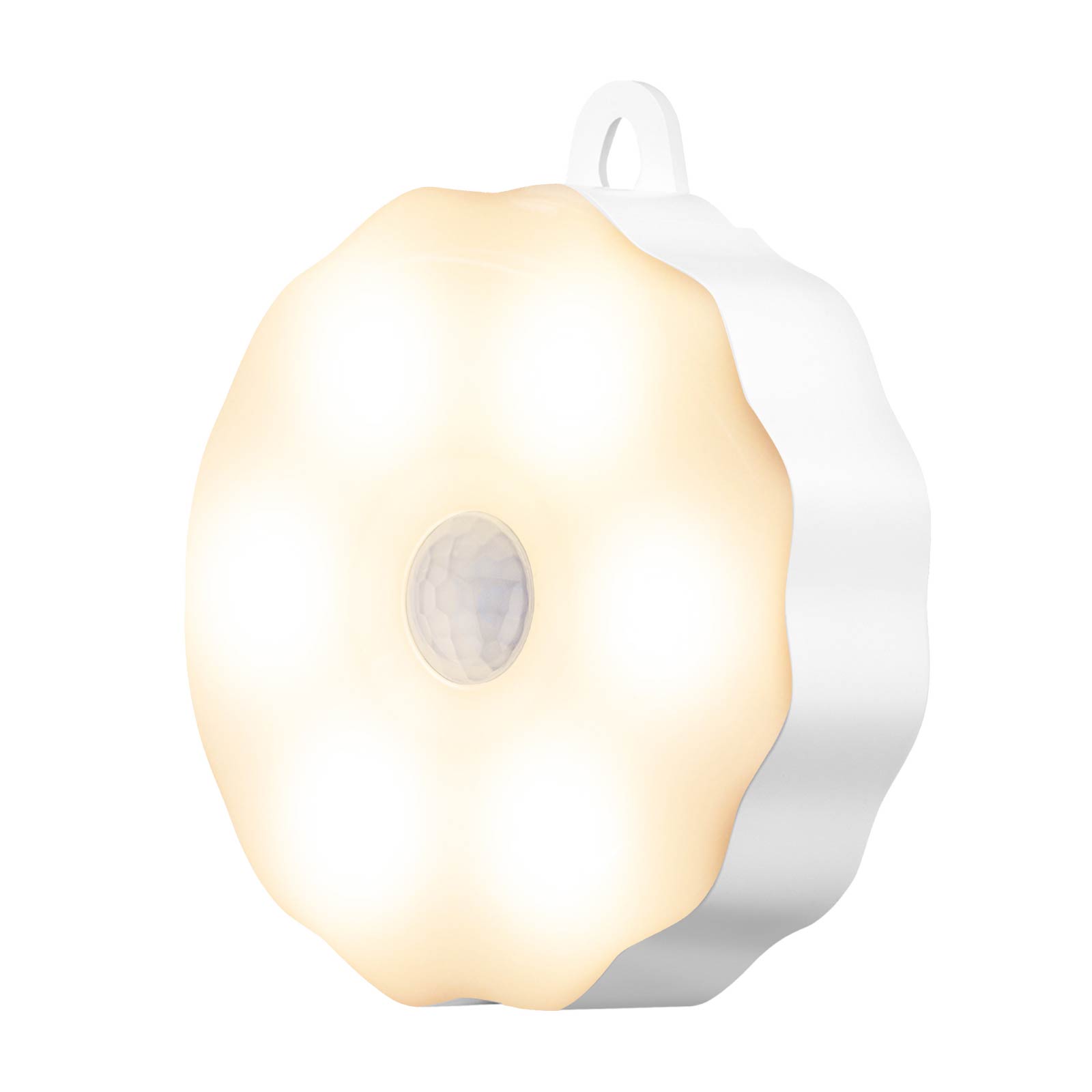 Motion Sensor Wall Light 