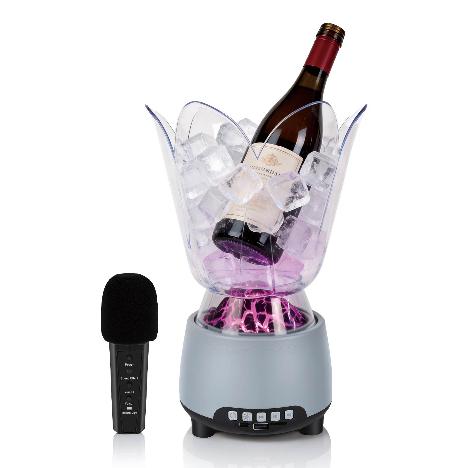Karaoke RGB Wireless Spekaer & Ice Bucket